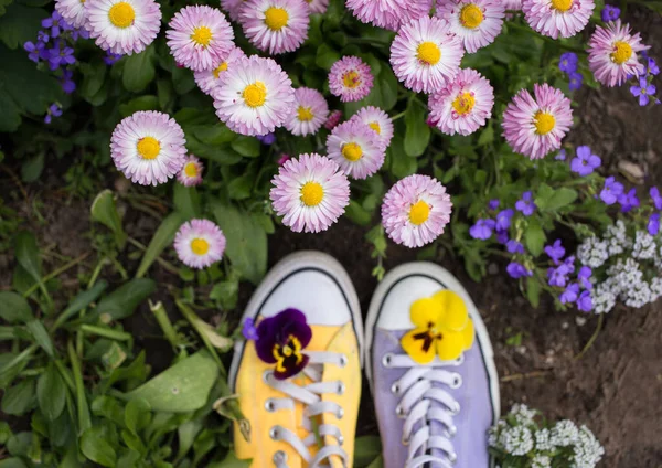 Ноги Барвистих Жовтих Бузкових Молоді Ганчірки Серед Маленьких Рожевих Квітів — стокове фото