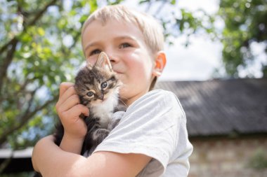Çocuk dikkatlice elinde küçük sevimli bir kedi yavrusu tutuyor. Kedi günü. Mutlu bir çocukluk. Kedinin yüzüne odaklan.