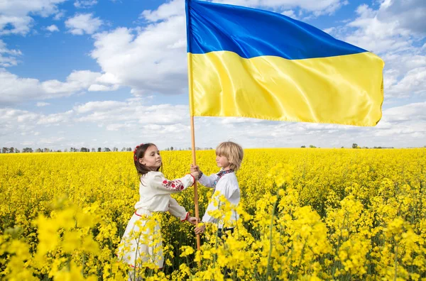 Boy Girl Hold Yellow Blue Flag Stand Flowering Yellow Rapeseed — Stock Photo, Image