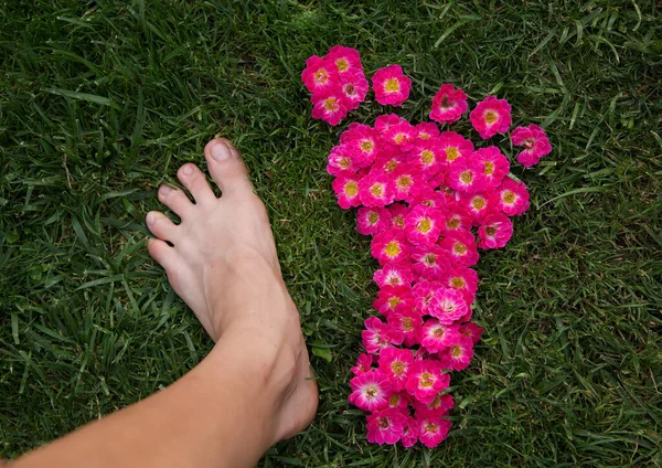 Barefoot Female Foot Footprint Made Pink Roses Green Grass Concept — Stock Photo, Image