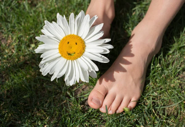 Chamomile Flower Smile Barefoot Children Feet Grass Sunny Day Cheerful — Stock Photo, Image