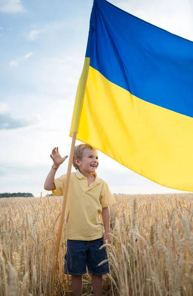 Улыбающийся Мальчик Жёлто Синим Большим Флагом Пшеничном Поле Гордость Символ — стоковое фото