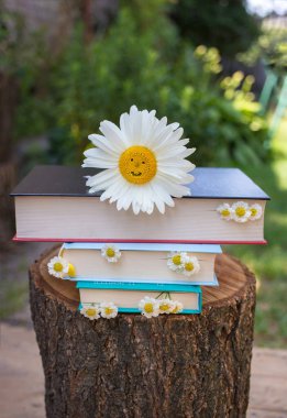 Bir yığın kitap ve büyük bir papatya oyma bir gülümseme ile bir kütük üzerinde bahçede yatıyor. Okuma, eğitim, bilgelik ve bilgi kavramı. Dijital detoks. Kitap Günü. Kitapların değeri