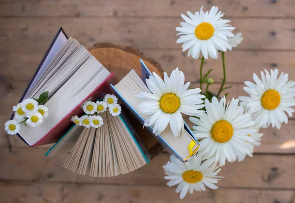 Three Books Stand Upright Bouquet Daisies Nearby Cozy Reading Education — Stockfoto