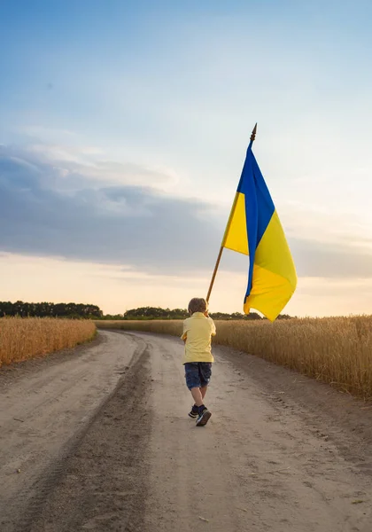 Хлопчик Йде Сільській Дорозі Жовто Блакитним Українським Великим Прапором Серед — стокове фото