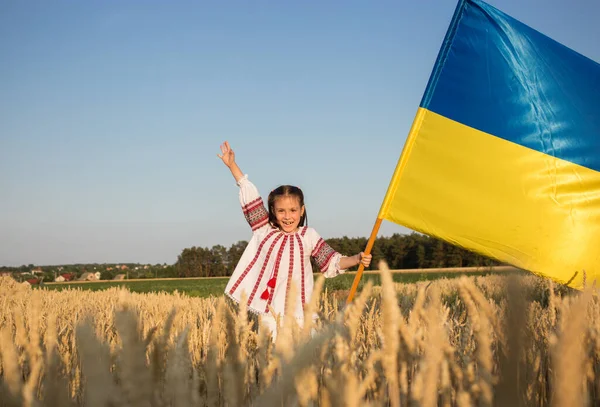 Дівчинка Років Національній Українській Блузці Жовто Блакитним Прапором Пшеничному Полі — стокове фото