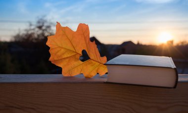 Merhaba, Autumn. Sonbaharı ve kitapları severim. Kitap ve sonbahar yaprağı batan güneşin arka planına karşı. Bir kalp portakal meşesi yaprağına oyulur. Okula dönelim. Eğitim kavramı.