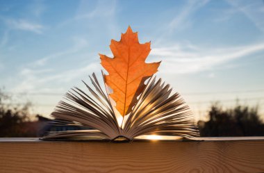 Eğitim konsepti. Merhaba, Autumn. Mavi gökyüzüne karşı sayfalar arasında parlak bir turuncu sonbahar meşe yaprağı olan açık bir kitap. Batan güneş sayfaları delip geçiyor. Okula geri dön.