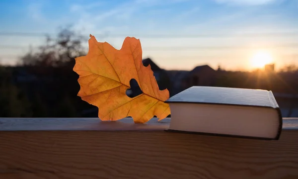 Hello, Autumn. Love autumn and books. Book and autumn leaf against the backdrop of the setting sun. A heart is carved into an orange oak leaf. Back to school. Education concept.