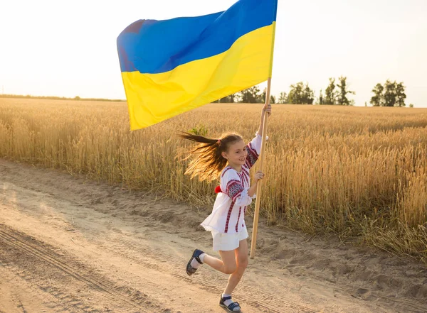 Щаслива Українська Дівчина Традиційній Вишитій Сорочці Жовто Блакитним Прапором Радістю — стокове фото