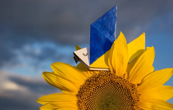 Paper Dove Peace Wings Painted Yellow Blue Colors Ukrainian Flag — Foto de Stock