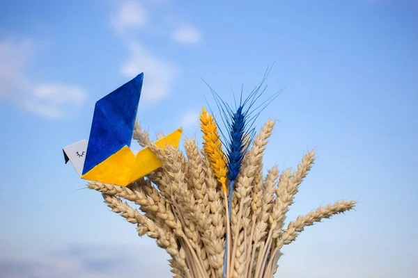 paper dove of peace, whose wings are painted in yellow-blue colors of Ukrainian flag, sits on bouquet of dry ripe spikelets of wheat against sky. Support Ukraine. Stop war in Ukraine. Peace concept