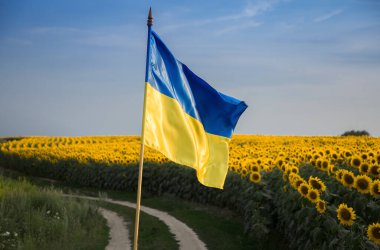 satin flag of Ukraine in yellow and blue colors against of beautiful blooming field of sunflowers, country road and sky. stop war. pride of nation, symbol of the country, patriotism. Independence Day