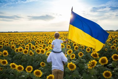 dad with son, who sits on shoulders, with large flag of Ukraine against backdrop of beautiful flowering field with sunflowers. Patriotic education. Pride, faith in victory. Stop war. Independence Day