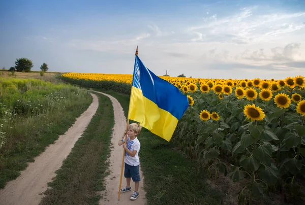Boy Yellow Blue Large Ukrainian Flag Stands Country Road Blooming — стокове фото