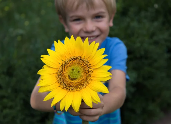 Cheerful Child Boy Holding Big Yellow Sunflower Flower Smile Selective — Stock Fotó