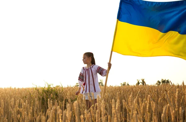 Year Old Girl National Ukrainian Blouse Large Yellow Blue Flag — стокове фото