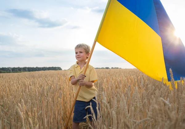Year Old Boy Yellow Blue Large Flag Stands Wheat Field — Stock Photo, Image