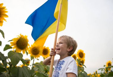 happy laughing boy in national embroidered T-shirt with yellow-blue flag among blooming field of sunflowers. pride, symbol of country, nationality Ukrainian. Victory in the war. patriotic education