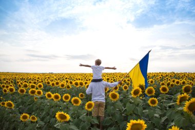dad and son, who sits on his shoulders with arms apart, stand with flag of Ukraine on blooming sunflower field. patriotism, pride, unity, faith in victory. independence Day. Ukrainians against war
