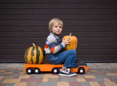 boy in denim overalls and a knitted sweater sits on a large toy truck and transports beautiful farm pumpkins to a warehouse. Little helper, games for boys.