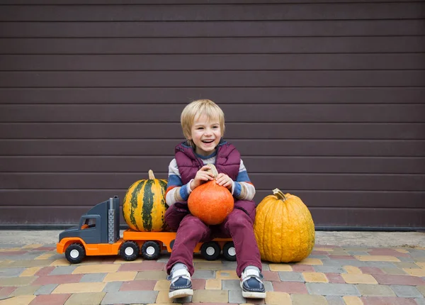 cheerful boy of 5 years old sits on a big toy truck and transports beautiful farm pumpkins to the warehouse. Little helper, autumn games for children on the farm