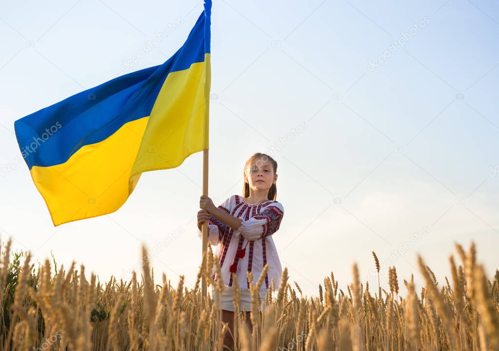 girl in national embroidered Ukrainian blouse with large yellow-blue flag stands in wheat field at sunset. proud to be Ukrainian, symbol of the country, national identity. Glory to Ukraine. stop war