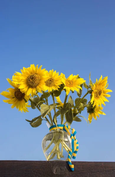 bouquet of sunflower flowers in a glass vase with a yellow - blue ribbon against the sky. stop the war. Independence Day. Support for Ukraine, a symbol of freedom and harvest. Agribusiness