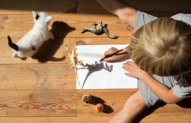 boy draws with a pencil contrasting shadows from the skeleton of a toy dinosaur on white paper. little scientist, ideas for development of creative thinking, games for children. View from above