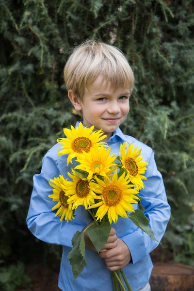 Preschooler Boy Blue Shirt Holds Bouquet Yellow Blooming Sunflowers Patriotic — Photo