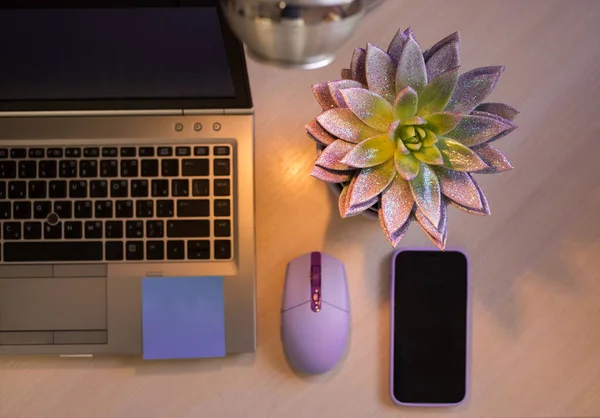 laptop keyboard, succulent flower, mobile phone. office desk, modern digital technology, internet communication, work online at home