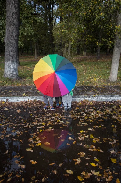 三个无法辨认的孩子藏在彩虹色的大雨伞后面 黄色落叶散落在水坑中的倒影 秋天的气氛 雨季的象征 秋天的潮湿天气 — 图库照片