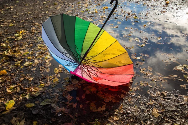 Der Bunte Regenschirm Regenbogenfarben Liegt Einer Mit Herbstblättern Übersäten Pfütze — Stockfoto