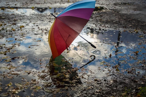 五彩缤纷的雨伞矗立在沥青路上 点缀着落叶的水坑里 阳光的反光照亮着它 秋天的气氛 雨季的标志 湿风易变的天气 — 图库照片