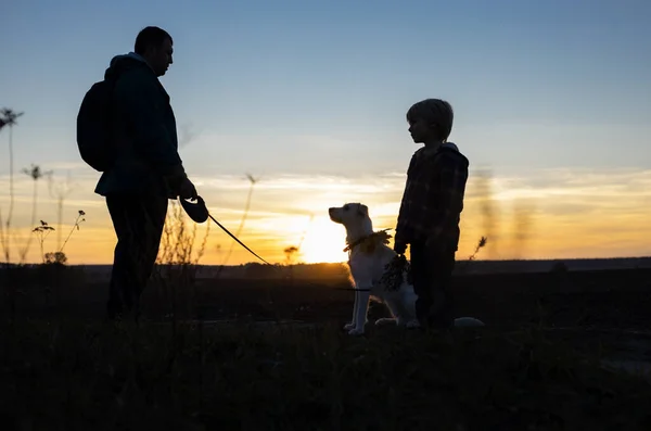 Силуэт Мужчины Ребенка Собаки Гуляющие Полю Закате Отдыхающие Домашним Животным — стоковое фото