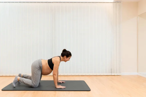 Hamile bir kadın sağlık merkezinde yoga yapıyor. — Stok fotoğraf