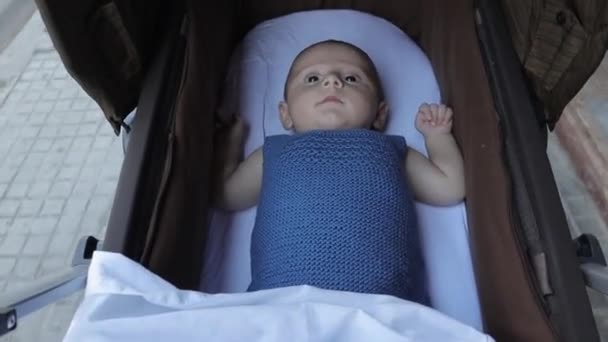 Weinig pasgeboren ontspannen onder het genot van een ritje in de kinderwagen buiten. — Stockvideo