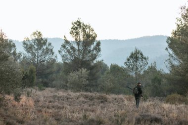 Avcı dağ ormanında avını ararken elinde silah tutuyor..