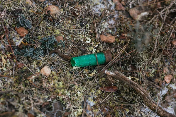 Un cartucho de escopeta utilizado en el suelo del bosque —  Fotos de Stock