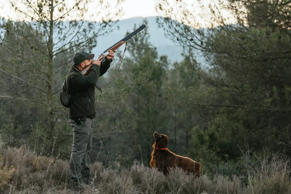 Tüfekli bir adam köpekle ormanda avlanıyor. — Stok fotoğraf