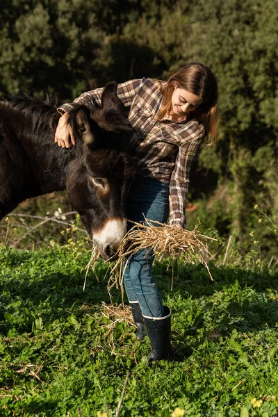 Genç bir kız tarlada eşeğe saman yediriyor..