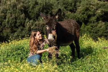 Genç bir kız dizlerinin üstünde, bir eşeği mutlu bir şekilde besliyor..