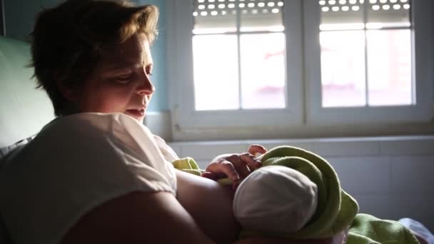 Anne doğumdan sonra hastane odasında dinlenirken yeni doğmuş bebeğini okşuyor ve onunla konuşuyor.. — Stok video