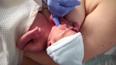Hemşire emme refleksini kontrol etmek için parmağını yeni doğan bebeklerin ağzına sokuyor..