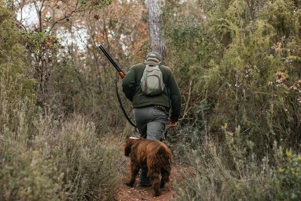 Avcı köpeği arkasındayken ormanın ortasında yürüyor. — Stok fotoğraf