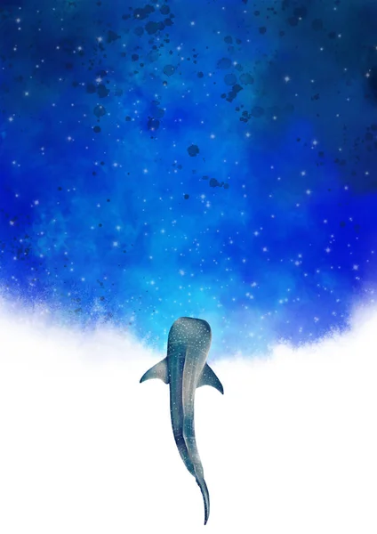 Whale shark with night sky background watercolor illustration for decoration on summer night season.