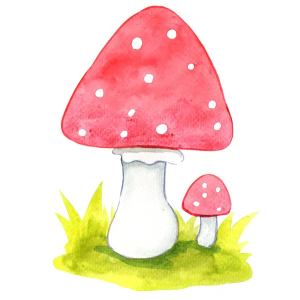 Cogumelo Vermelho Chão Grama Aquarela Ilustração Para Decoração Sobre Natureza — Fotografia de Stock