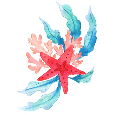 Deniz yıldızı, mercan ve deniz yosunları. Noel tatilinde süslemek için çiçekli suluboya..