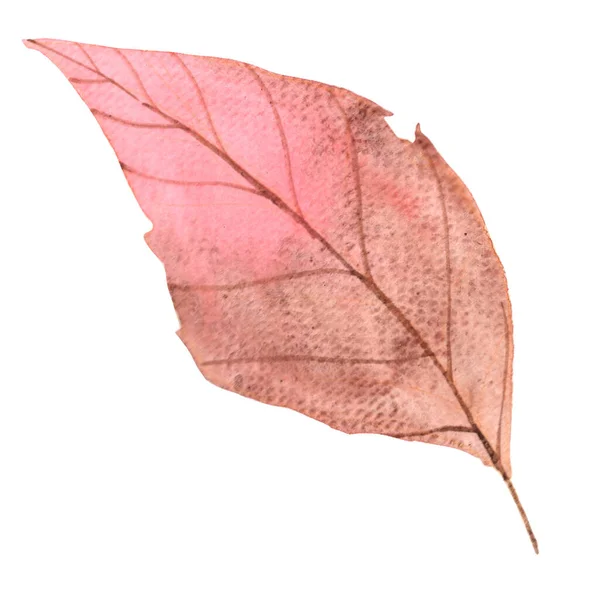 Kolorowy Jesienny Liść Akwarela Ilustracja Dekoracji Jesieni Sezonu Koncepcji Przyrody — Zdjęcie stockowe