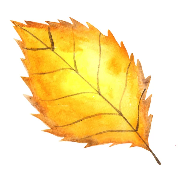 Jesienny Żółty Liść Akwarela Ilustracja Dekoracji Jesieni Sezonu Koncepcji Przyrody — Zdjęcie stockowe